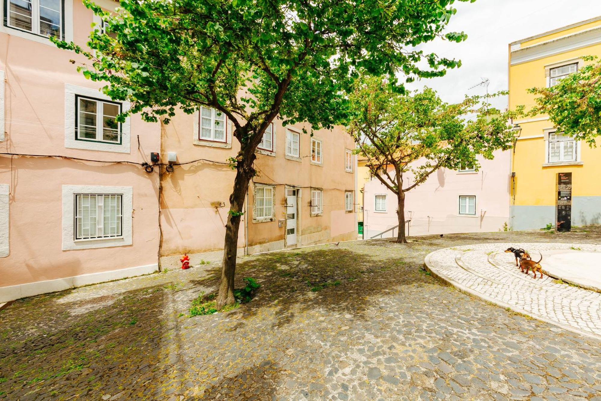 Rent4rest Downtown Tiny * Lisboa